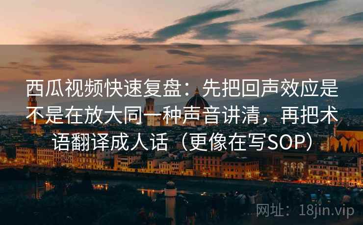 西瓜视频快速复盘：先把回声效应是不是在放大同一种声音讲清，再把术语翻译成人话（更像在写SOP）